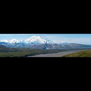 Meet your Posher, Anne